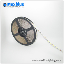 DC12V / 24V RGBW LED Strip Light